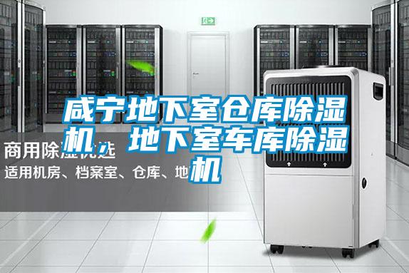 咸寧地下室倉(cāng)庫(kù)除濕機(jī)，地下室車庫(kù)除濕機(jī)