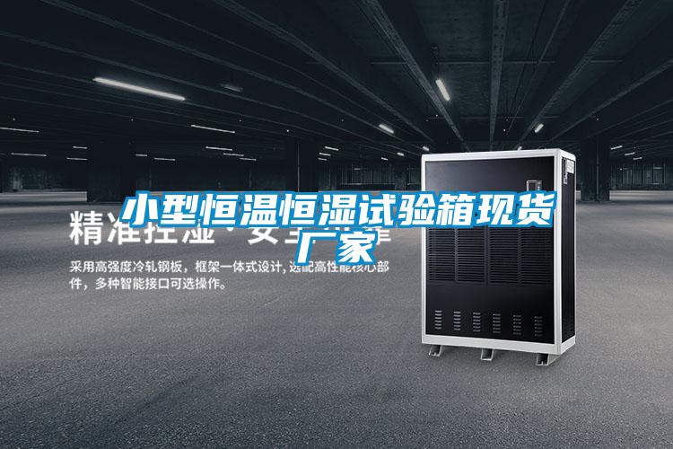 小型恒溫恒濕試驗(yàn)箱現(xiàn)貨廠(chǎng)家