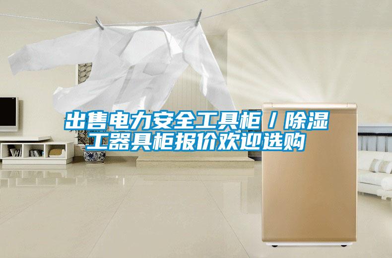 出售電力安全工具柜/除濕工器具柜報(bào)價(jià)歡迎選購(gòu)