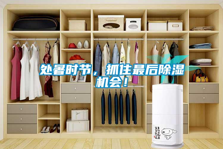 處暑時(shí)節(jié)，抓住最后除濕機(jī)會(huì)！