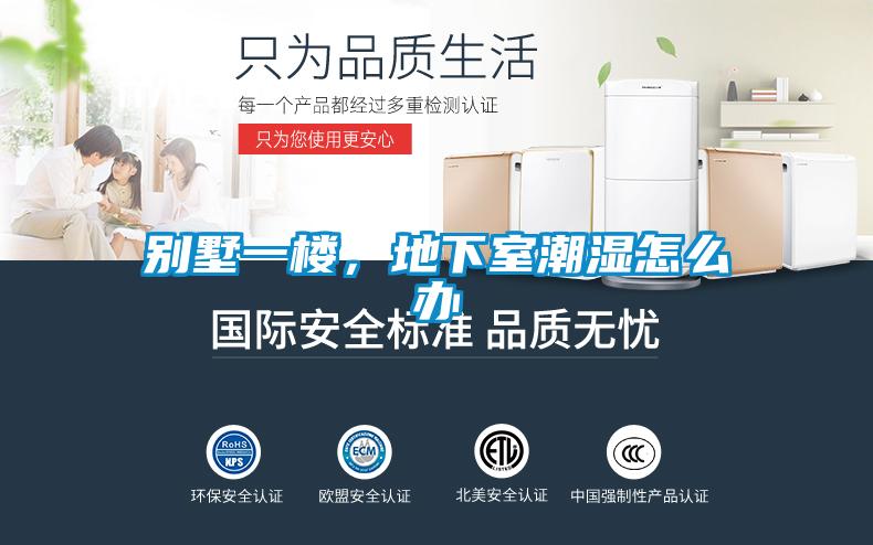 別墅一樓，地下室潮濕怎么辦