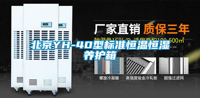 北京YH-40型標(biāo)準(zhǔn)恒溫恒濕養(yǎng)護箱