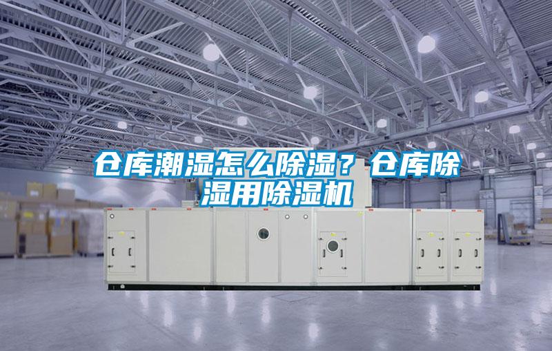 倉庫潮濕怎么除濕？倉庫除濕用除濕機(jī)
