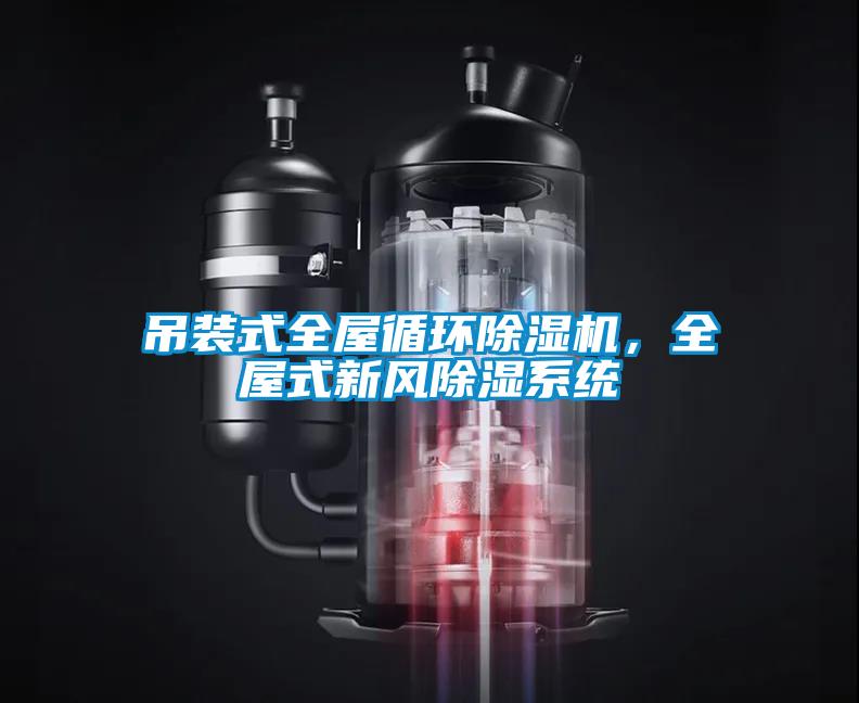吊裝式全屋循環(huán)除濕機(jī)，全屋式新風(fēng)除濕系統(tǒng)