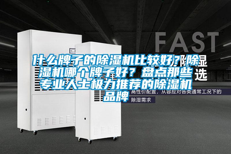 什么牌子的除濕機比較好？除濕機哪個牌子好？盤點那些專業(yè)人士極力推薦的除濕機品牌