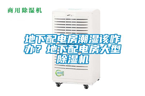 地下配電房潮濕該咋辦？地下配電房大型除濕機(jī)