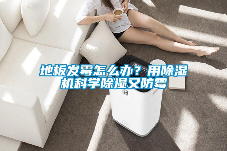 地板發(fā)霉怎么辦？用除濕機(jī)科學(xué)除濕又防霉