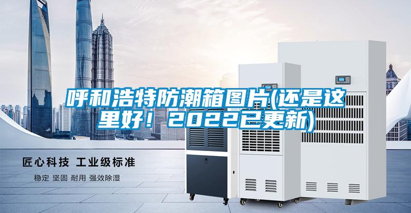 呼和浩特防潮箱圖片(還是這里好！2022已更新)