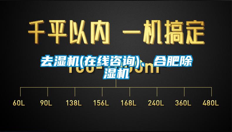 去濕機(jī)(在線咨詢)、合肥除濕機(jī)