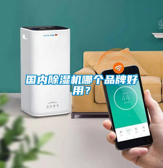 國內(nèi)除濕機(jī)哪個(gè)品牌好用？