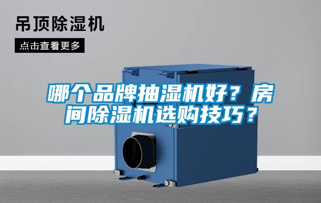 哪個品牌抽濕機好？房間除濕機選購技巧？
