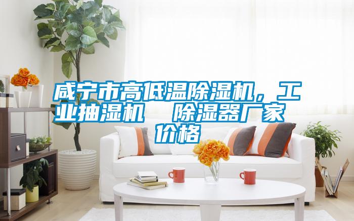 咸寧市高低溫除濕機(jī)，工業(yè)抽濕機(jī)  除濕器廠家 價(jià)格