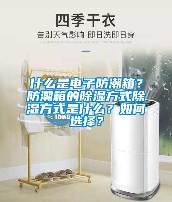 什么是電子防潮箱？防潮箱的除濕方式除濕方式是什么？如何選擇？