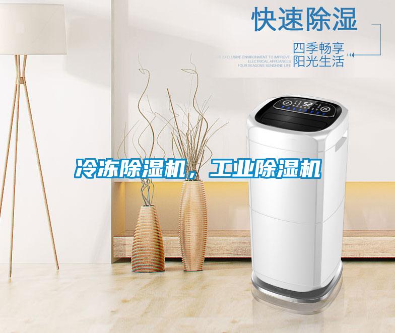 冷凍除濕機(jī)，工業(yè)除濕機(jī)
