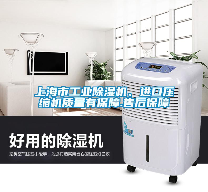 上海市工業(yè)除濕機、進口壓縮機質量有保障.售后保障