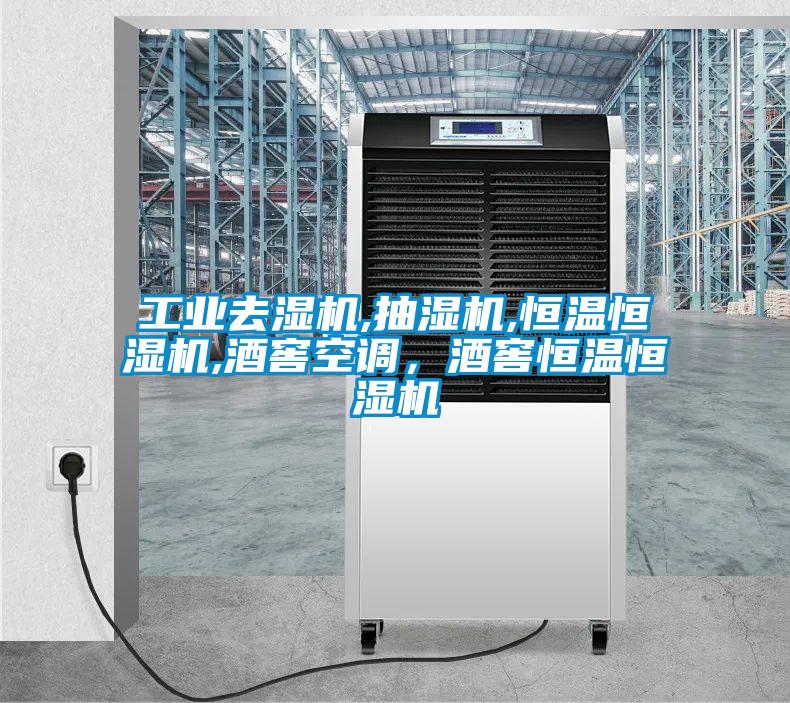 工業(yè)去濕機,抽濕機,恒溫恒濕機,酒窖空調(diào)，酒窖恒溫恒濕機