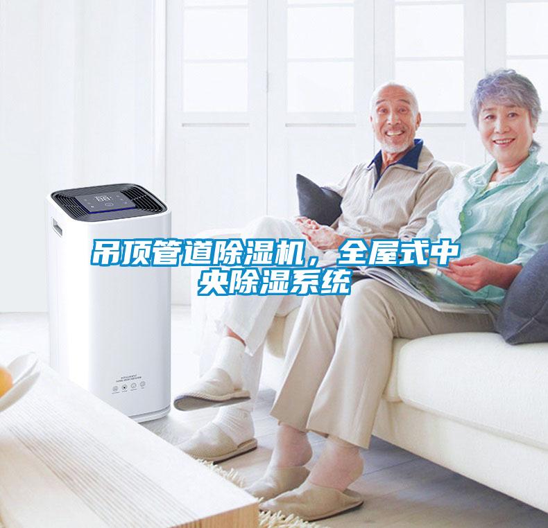 吊頂管道除濕機，全屋式中央除濕系統(tǒng)