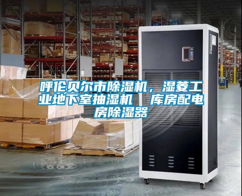 呼倫貝爾市除濕機，濕菱工業(yè)地下室抽濕機  庫房配電房除濕器