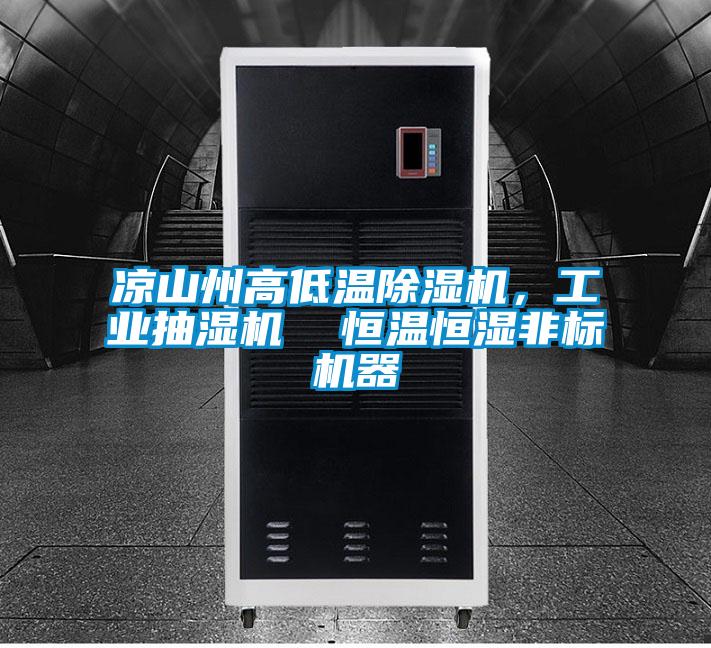 涼山州高低溫除濕機，工業(yè)抽濕機  恒溫恒濕非標(biāo)機器