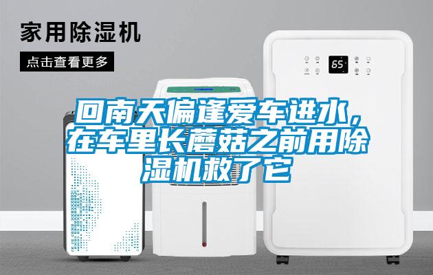 回南天偏逢愛車進水，在車?yán)镩L蘑菇之前用除濕機救了它