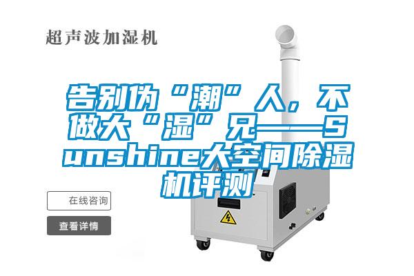 告別偽“潮”人，不做大“濕”兄——Sunshine大空間除濕機(jī)評測