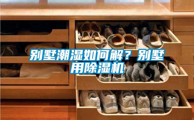 別墅潮濕如何解？別墅用除濕機(jī)