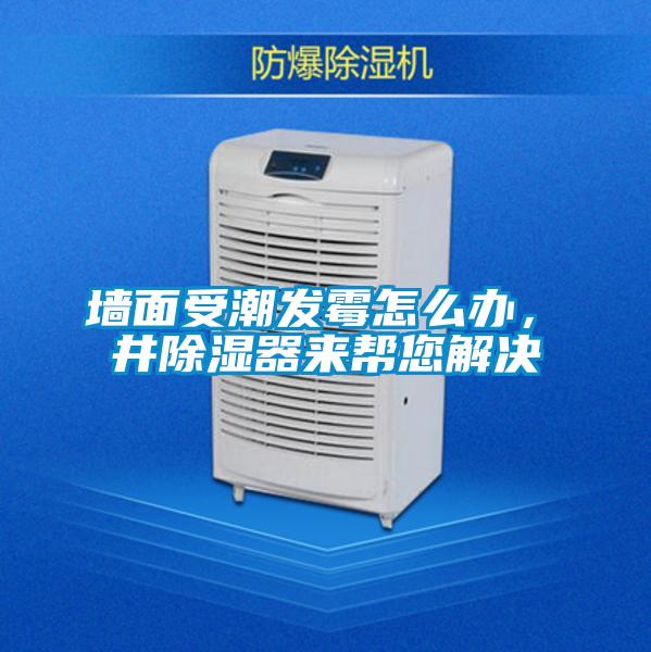 墻面受潮發(fā)霉怎么辦，東井除濕器來幫您解決