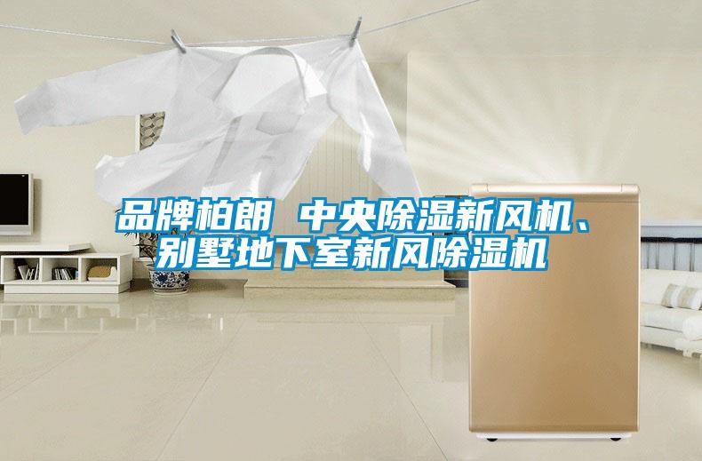 品牌柏朗 中央除濕新風(fēng)機、別墅地下室新風(fēng)除濕機