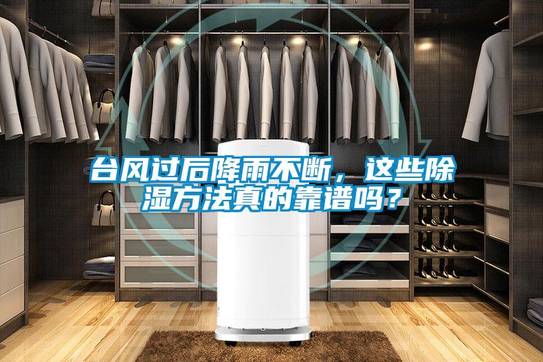 臺(tái)風(fēng)過(guò)后降雨不斷，這些除濕方法真的靠譜嗎？
