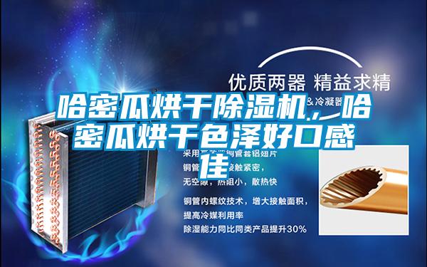 哈密瓜烘干除濕機(jī)，哈密瓜烘干色澤好口感佳