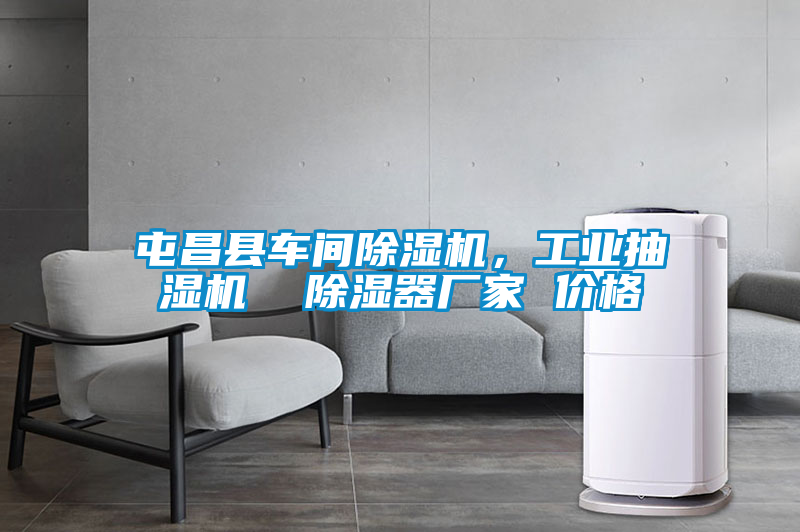 屯昌縣車間除濕機，工業(yè)抽濕機  除濕器廠家 價格