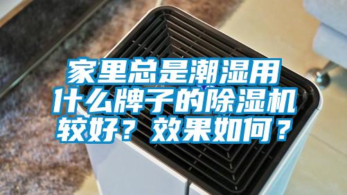 家里總是潮濕用什么牌子的除濕機較好？效果如何？