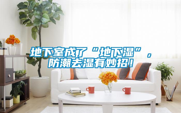 地下室成了“地下濕”，防潮去濕有妙招！