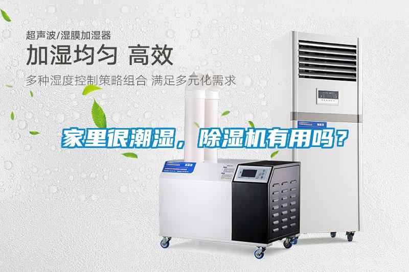 家里很潮濕，除濕機(jī)有用嗎？