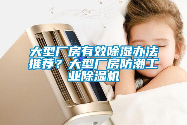大型廠房有效除濕辦法推薦？大型廠房防潮工業(yè)除濕機(jī)