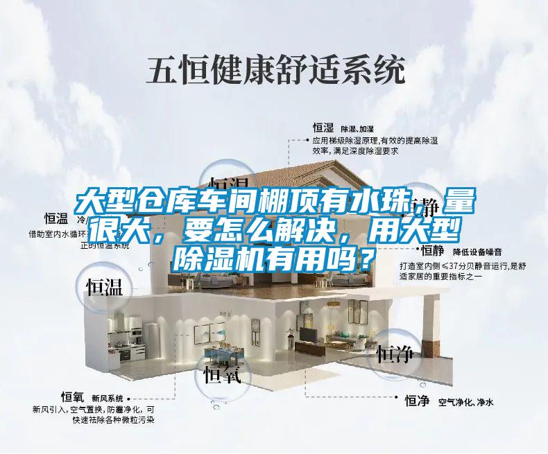 大型倉庫車間棚頂有水珠，量很大，要怎么解決，用大型除濕機(jī)有用嗎？