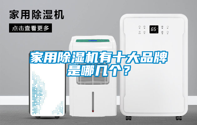 家用除濕機有十大品牌是哪幾個？