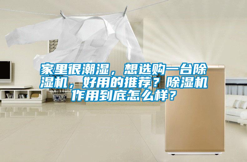 家里很潮濕，想選購(gòu)一臺(tái)除濕機(jī)，好用的推薦？除濕機(jī)作用到底怎么樣？
