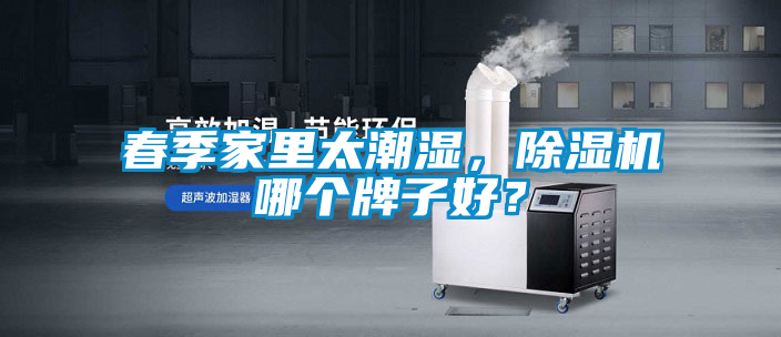 春季家里太潮濕，除濕機(jī)哪個牌子好？