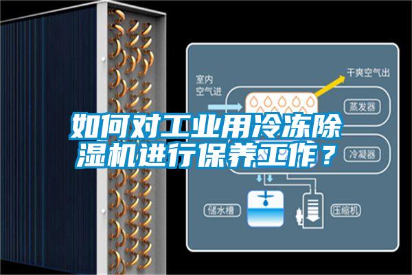 如何對(duì)工業(yè)用冷凍除濕機(jī)進(jìn)行保養(yǎng)工作？