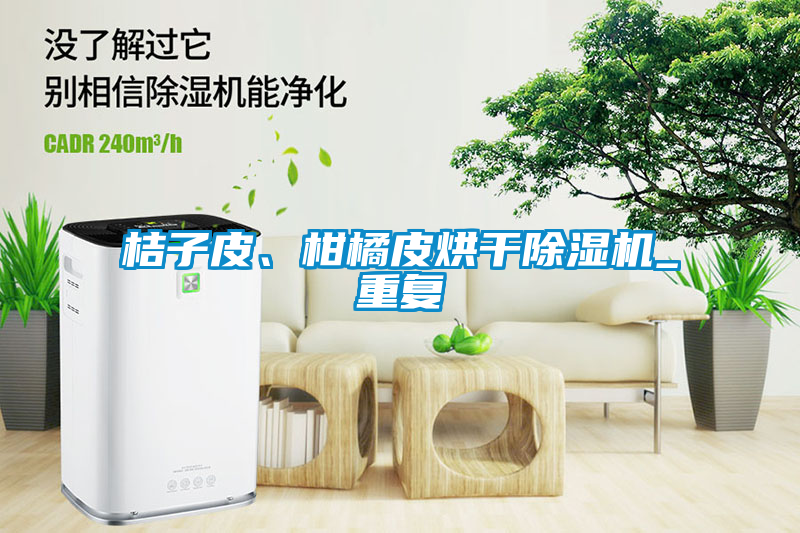 桔子皮、柑橘皮烘干除濕機(jī)_重復(fù)