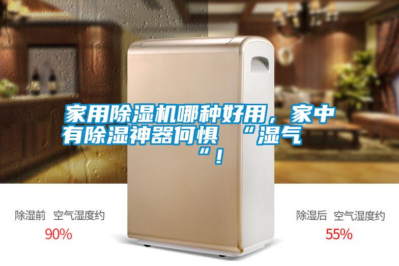 家用除濕機(jī)哪種好用，家中有除濕神器何懼 “濕氣 “！