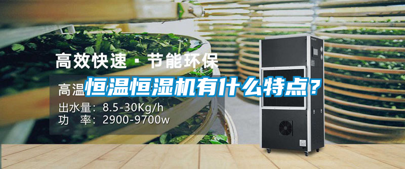 恒溫恒濕機有什么特點？