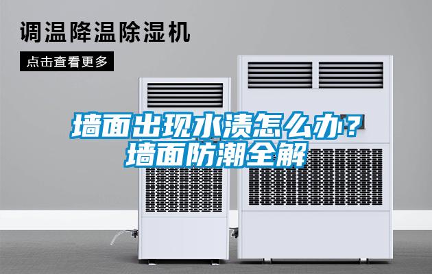墻面出現(xiàn)水漬怎么辦？墻面防潮全解