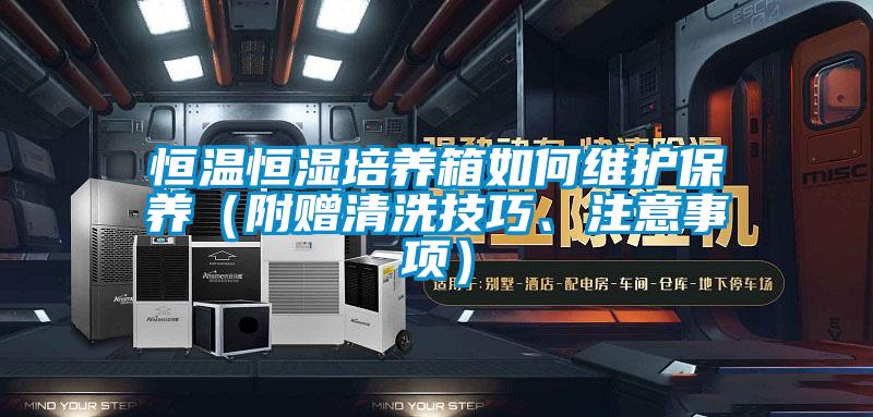 恒溫恒濕培養(yǎng)箱如何維護保養(yǎng)（附贈清洗技巧、注意事項）