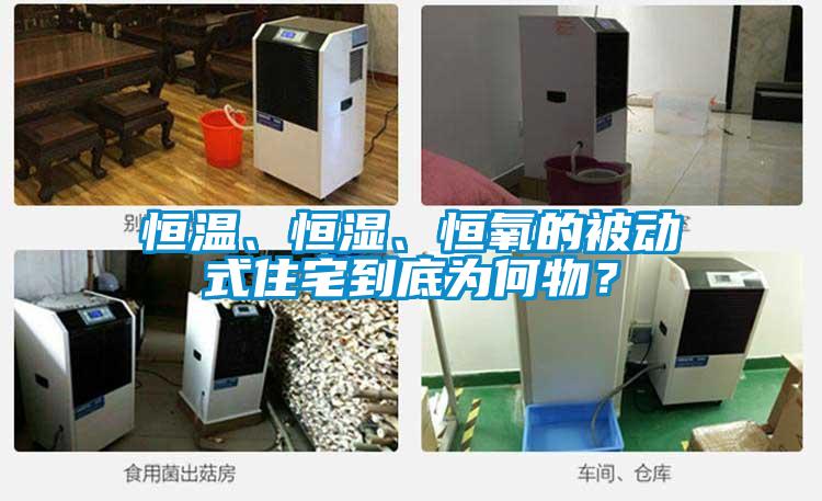 恒溫、恒濕、恒氧的被動(dòng)式住宅到底為何物？