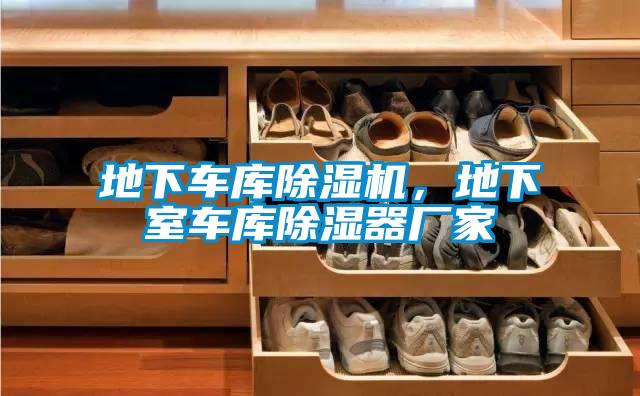 地下車庫除濕機(jī)，地下室車庫除濕器廠家