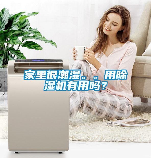 家里很潮濕。。用除濕機(jī)有用嗎？