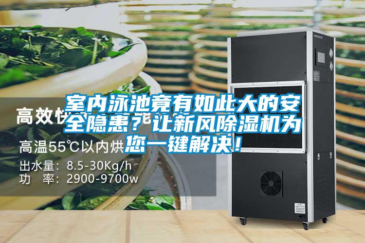 室內(nèi)泳池竟有如此大的安全隱患？讓新風(fēng)除濕機(jī)為您一鍵解決！