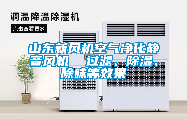 山東新風(fēng)機(jī)空氣凈化靜音風(fēng)機(jī)  過濾、除濕、除味等效果